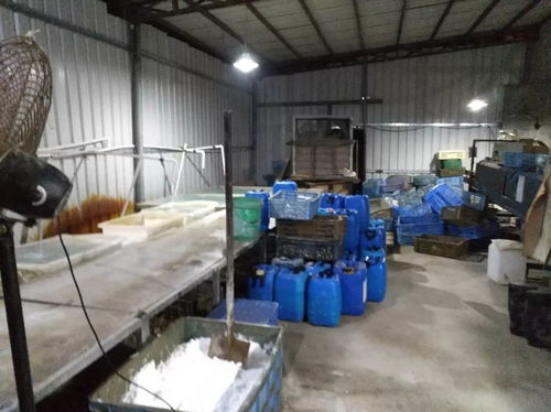 龍溪夜間突查處無牌證金屬制品廠，交警依法暫扣涉案車輛